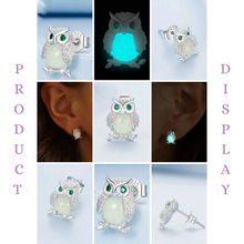 Glow in the Dark~S925 Owl Studs